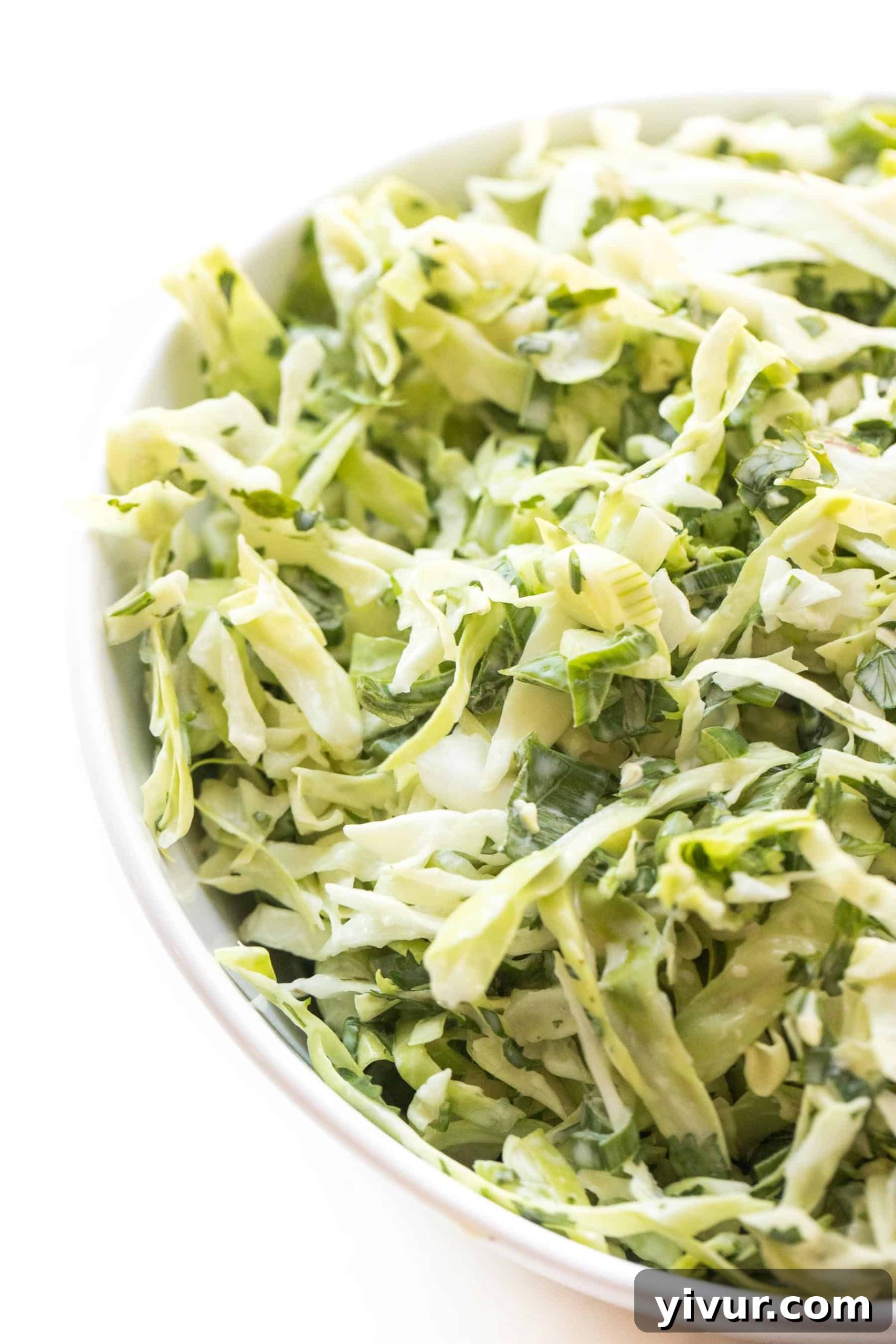 A bowl of vibrant Mexican coleslaw with a creamy dressing, garnished with fresh cilantro and a lime wedge.