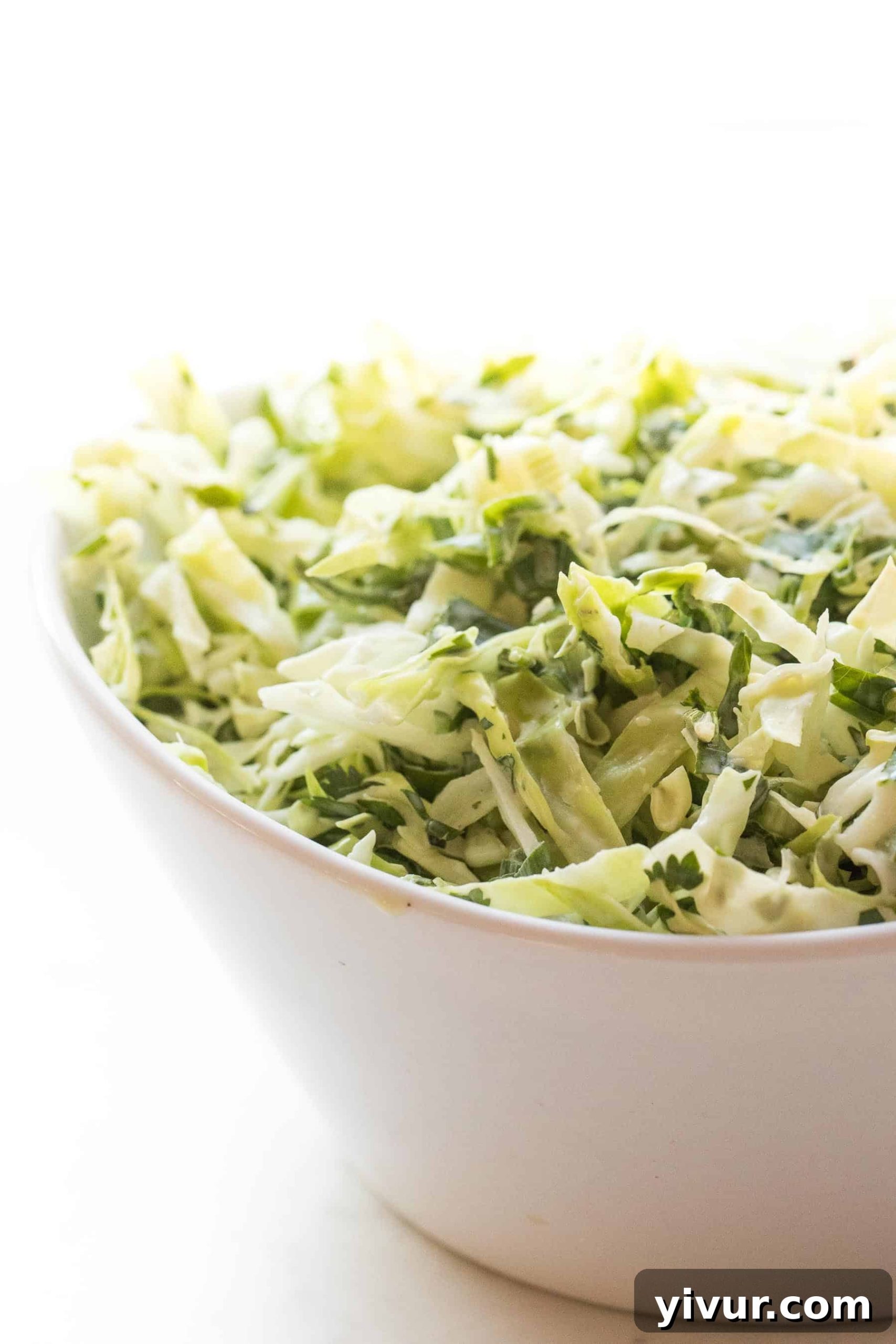 A serving of freshly made Mexican coleslaw in a white bowl, ready to be enjoyed.