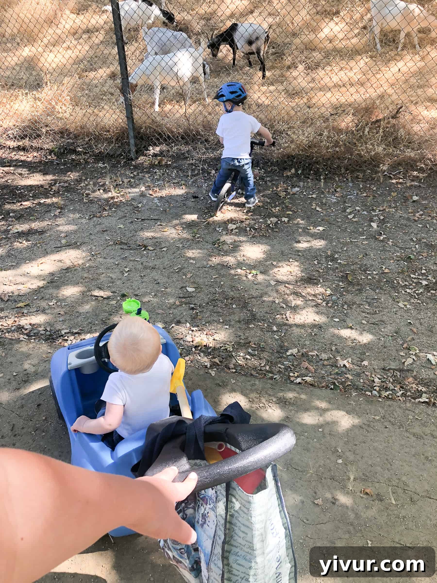 A Glimpse into Summer 2019 7 A mother pushing a stroller and a child riding a bike on their way to the park.