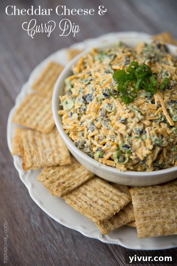 Cheddar Cheese & Curry Dip - An enticing close-up of the creamy dip in a white bowl with crackers.