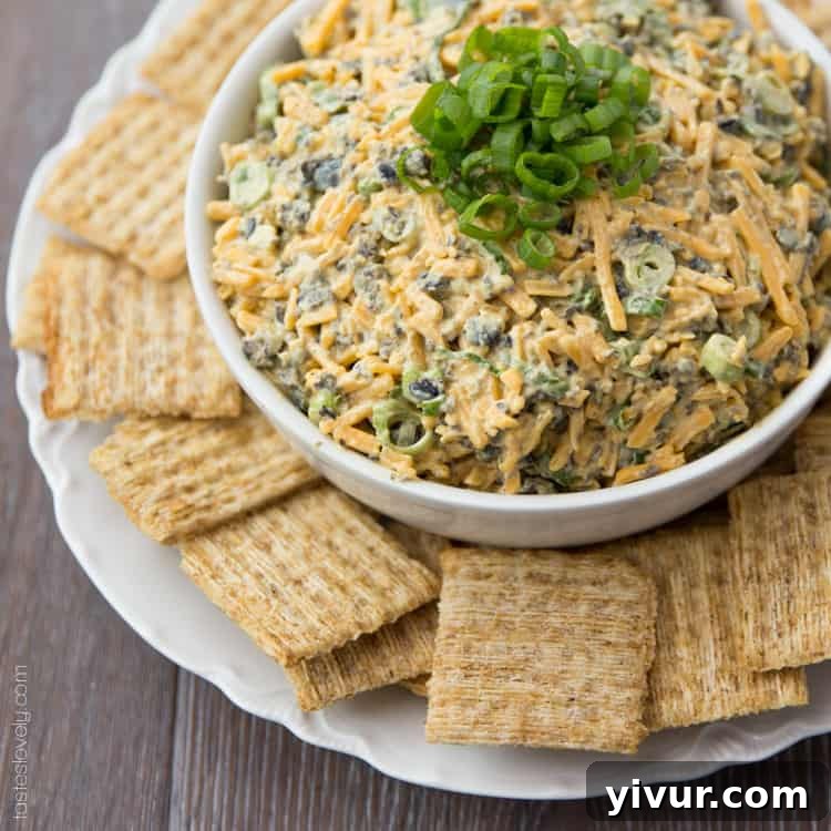 Cheddar Cheese & Curry Dip served elegantly on a platter with assorted crackers and fresh vegetables.