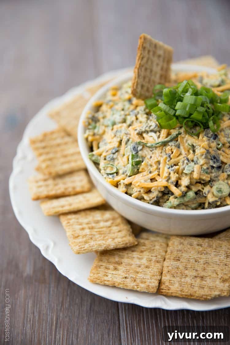 A close-up of a cracker being dipped into the rich and creamy Cheddar Cheese & Curry Dip.