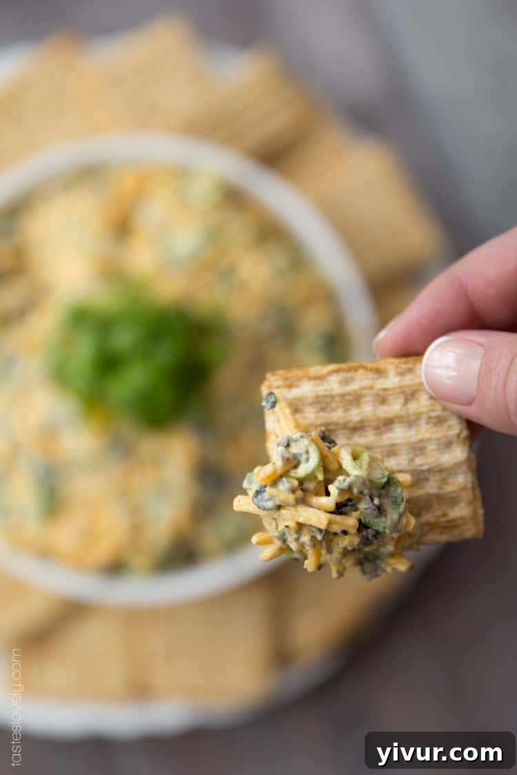 The final presentation of the Cheddar Cheese & Curry Dip, ready to be enjoyed with a selection of dipping options.