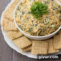 Cheddar Cheese & Curry Dip