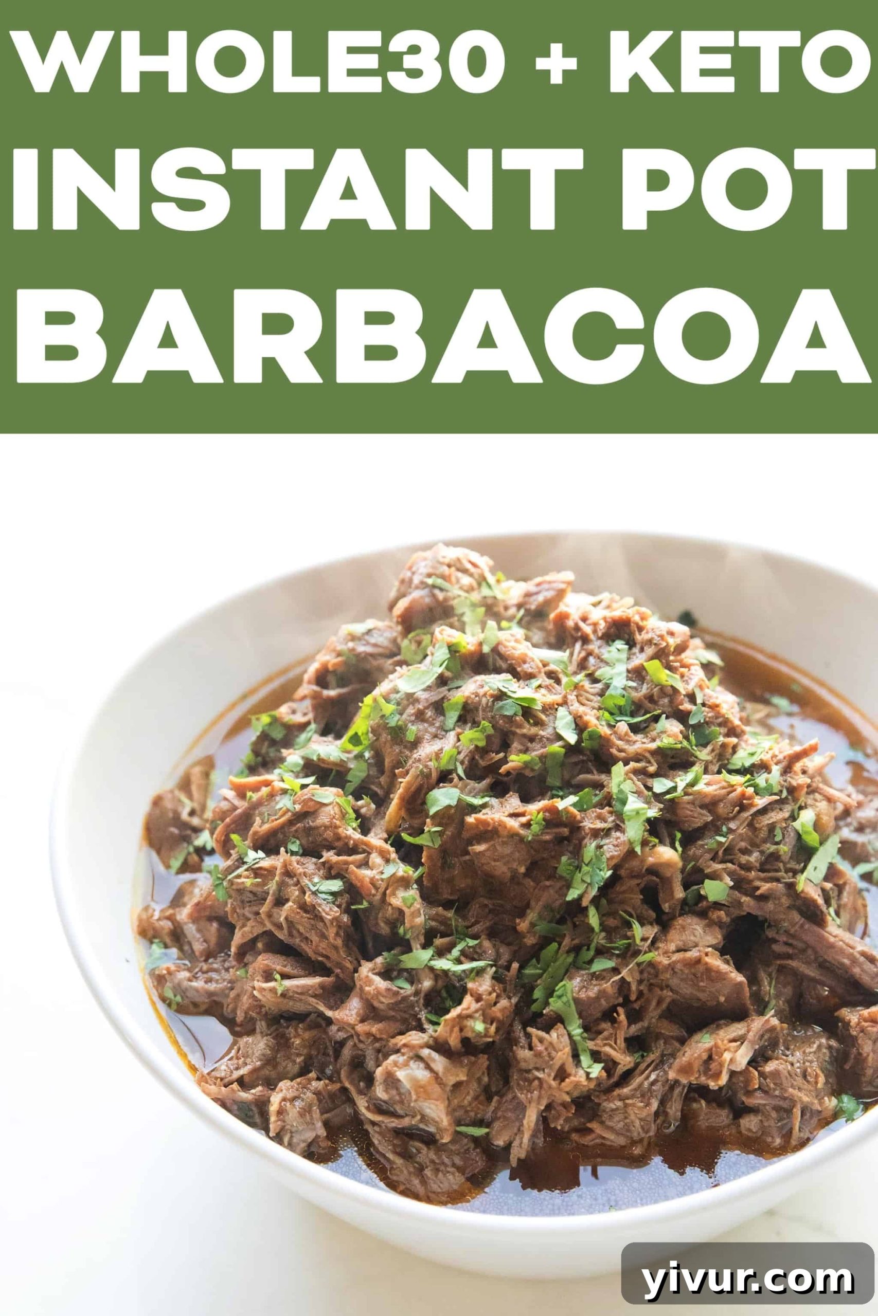 Barbacoa serving suggestion, overhead view