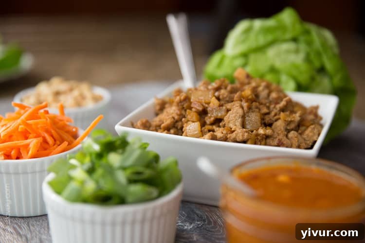 Healthy Asian Turkey Lettuce Wraps - Close up of finished wrap