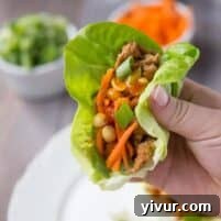 Healthy Asian Turkey Lettuce Wraps finished product