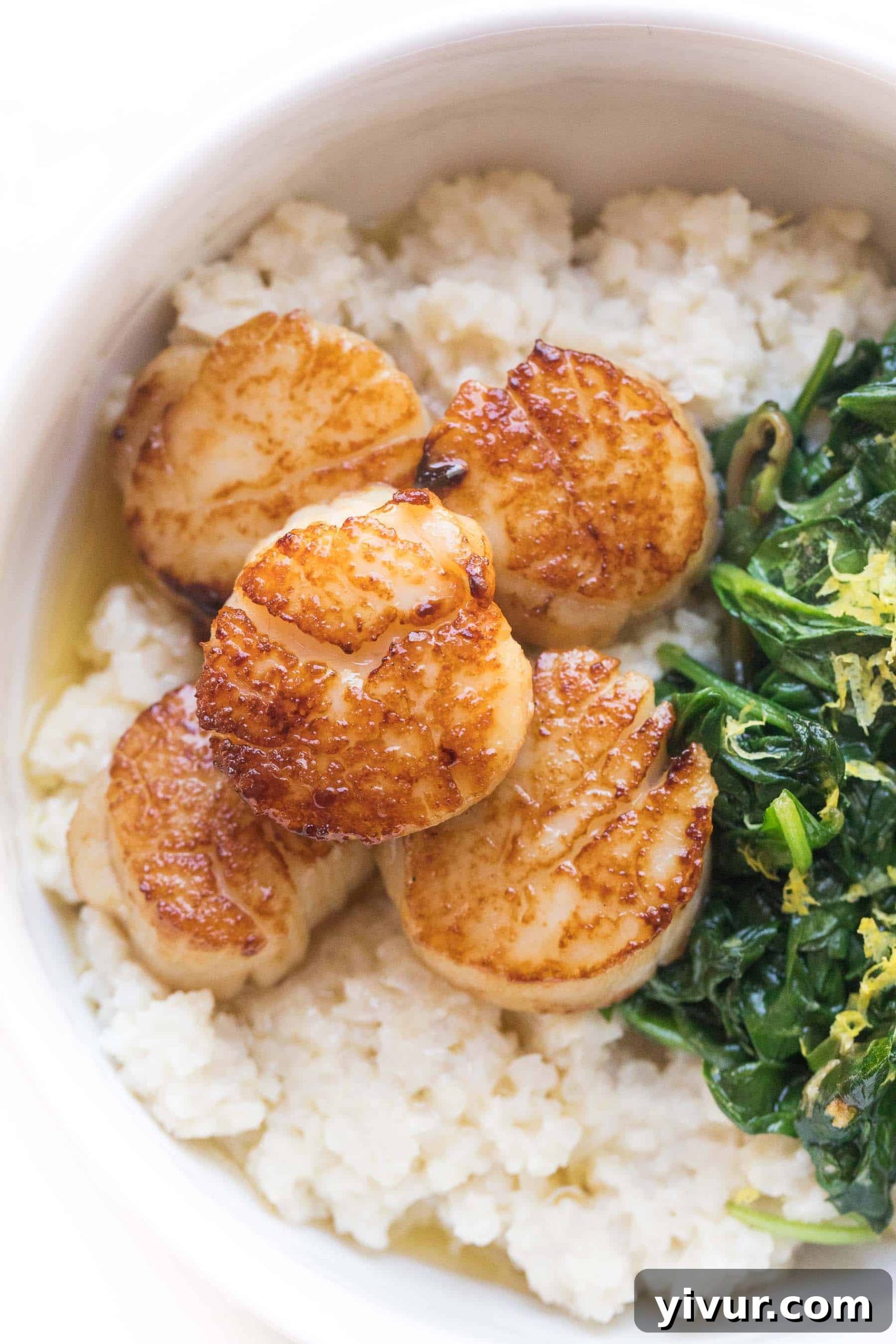 Crispy Golden Whole30 Keto Scallops 2 Perfectly seared scallops in a white bowl, served alongside fluffy cauliflower rice risotto and sautéed spinach, garnished with fresh lemon.