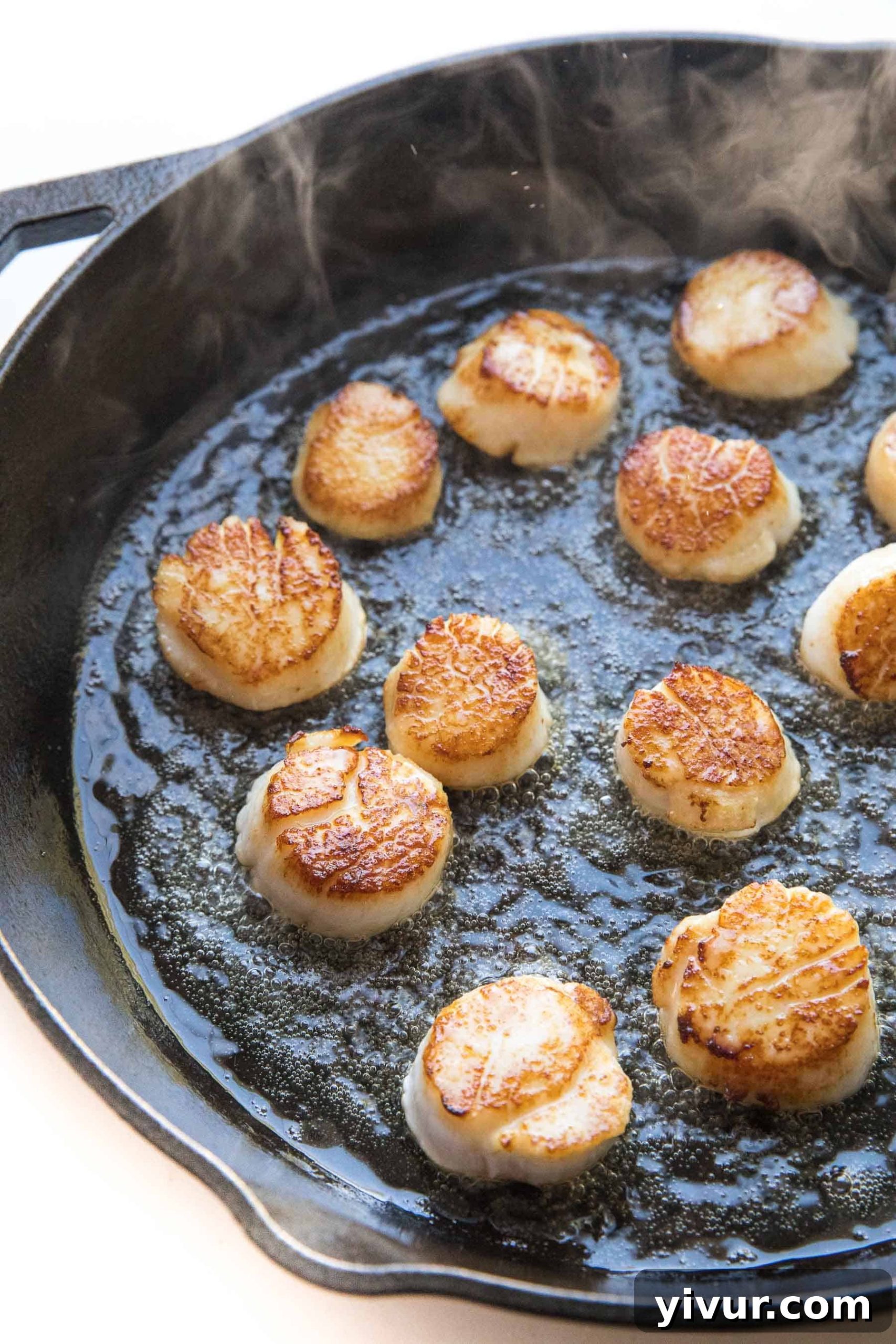 Crispy Golden Whole30 Keto Scallops 4 Several plump scallops sizzling in a well-seasoned cast iron skillet, developing a beautiful golden-brown crust.