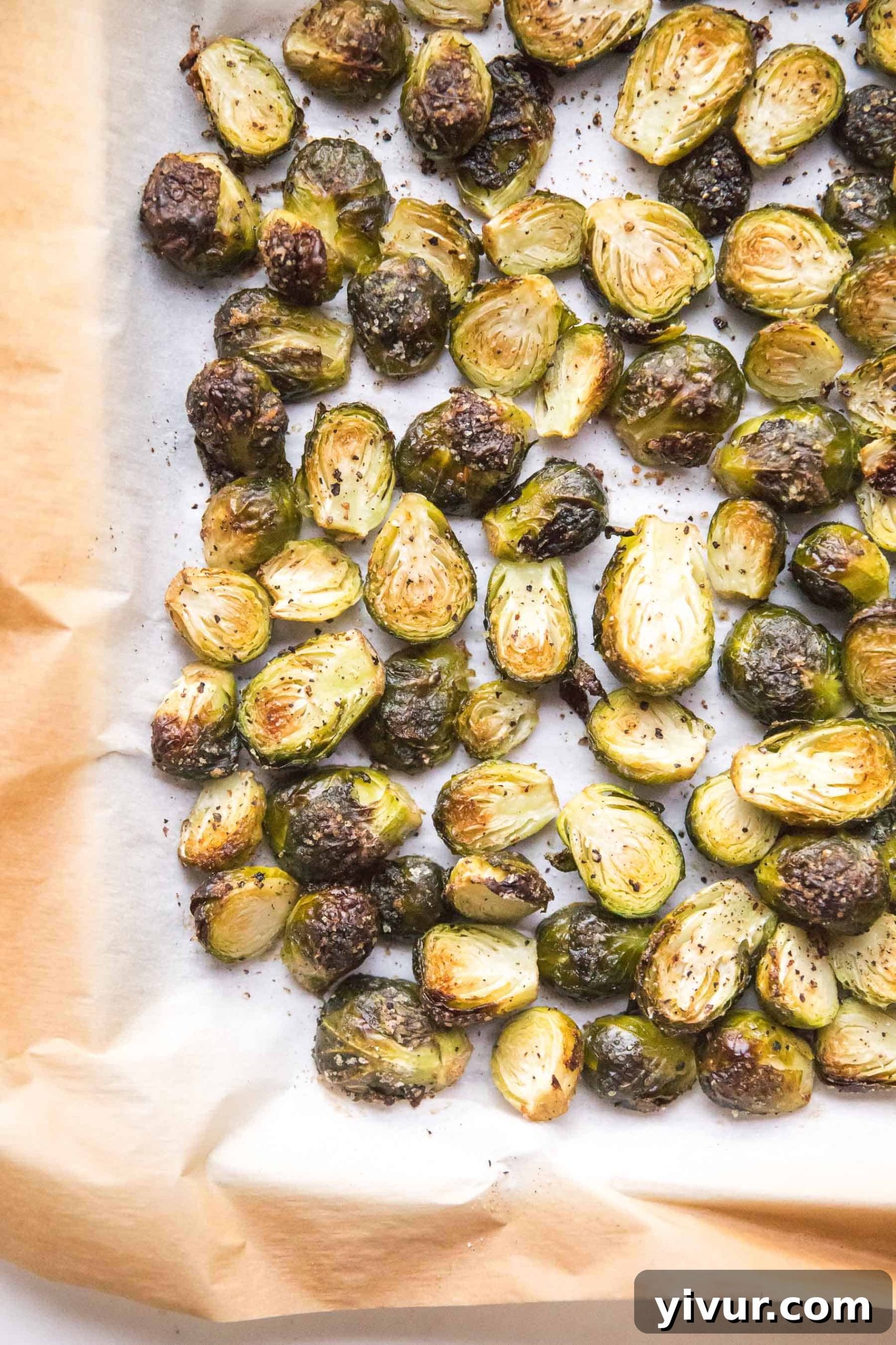 Close-up of golden brown roasted Brussels sprouts with some charred edges