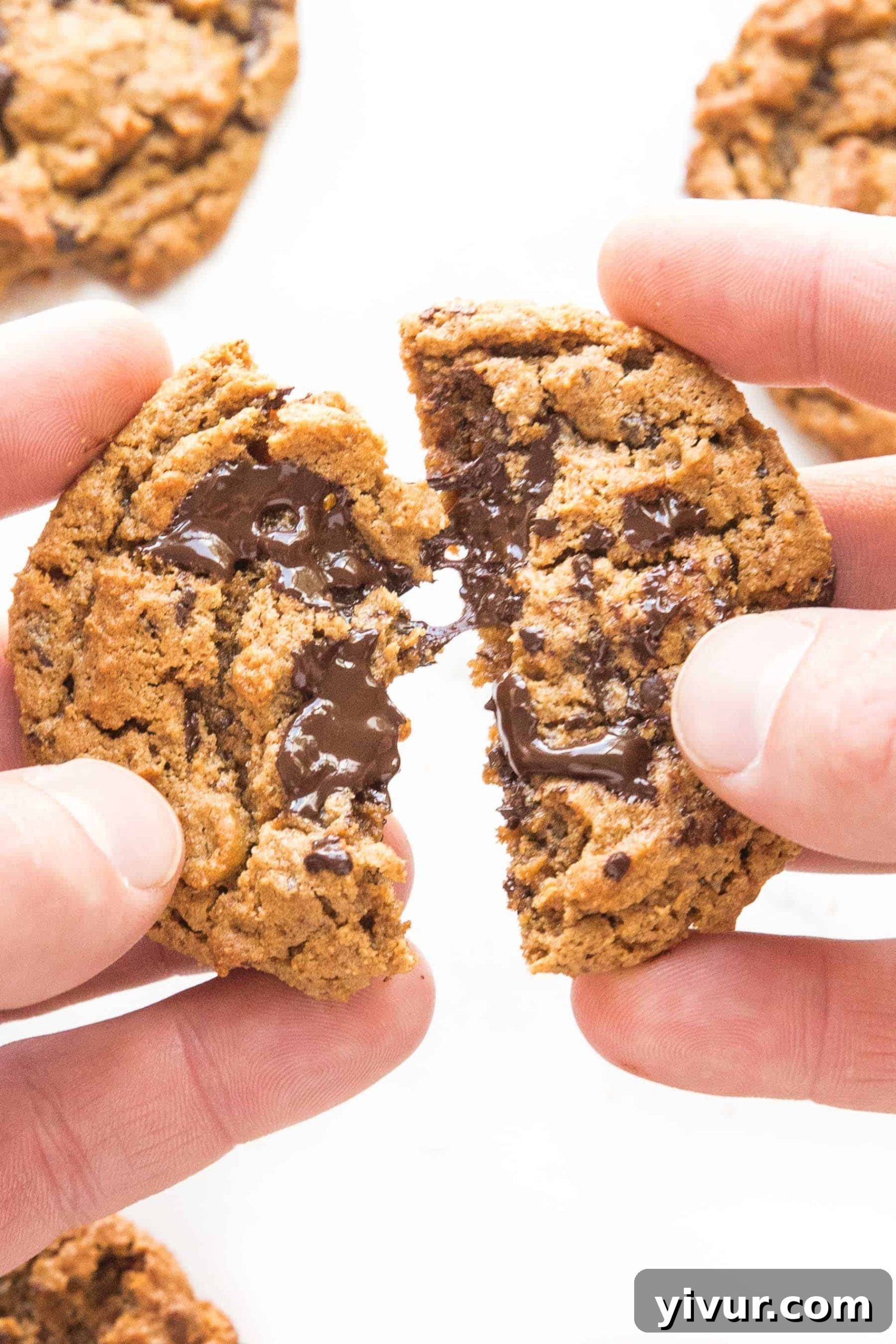 hand holding keto chocolate chip cookie