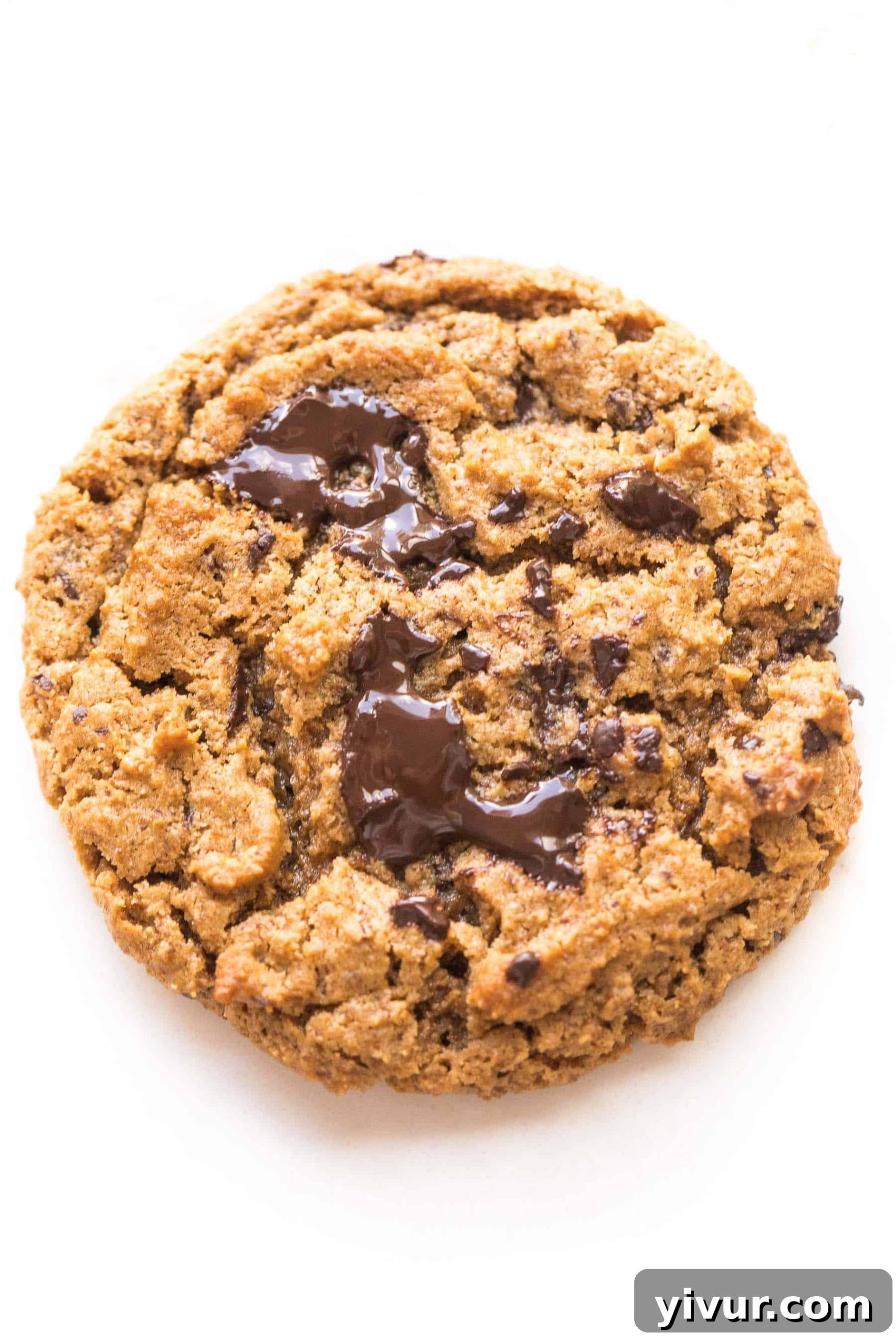 keto chocolate chip cookie on white background